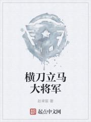 横刀立马将军图片