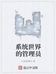 系统管理员拥有的权限