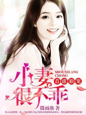 首席的小冷妻
