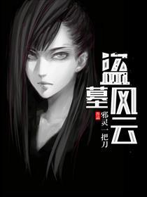 盗墓风云游戏