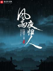 风雪夜归人话剧