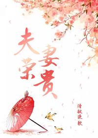 夫荣妻贵1-100集免费