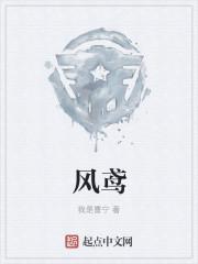 风鸢什么意思