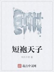 真假天子短